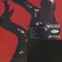 ТІЛА - Аорта