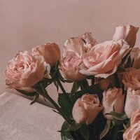 Vete Conmigo - Abelss