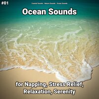 Ocean Sounds Part 66 - Coastal Sounds & Nature Sounds & Ocean Sounds