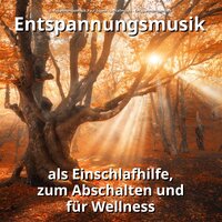 Atmen hinter den Dünen - Entspannungsmusik Paul Esgen & Schlafmusik & Entspannungsmusik
