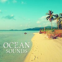 Nature Sounds for Relaxation - Relaxing Nature Sounds Collection