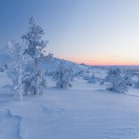 Across Nights, Beyond Days - Namaste Yoga & Meditative Music Guru & Classical Study Music