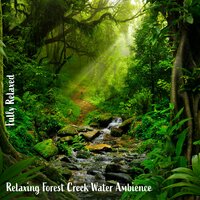 Relaxing Forest Creek Water Ambience, Pt. 18 - Steve Brassel