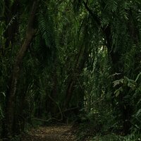 Meditation Unbound - Massage Music & Music to Relax in Free Time & Oasis de Détente et Relaxation