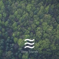 Restful and Sleepful Soft Ambience of the Forest for Kids Relief