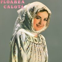 Neiculiță, Floare Dulce