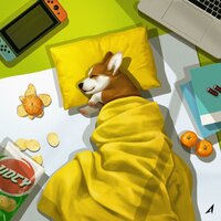kotatsu (Art. kanemochi) - Anonymous Artists (어나니머스 아티스트)