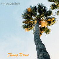 Drone Trip