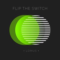FLIP THE SWITCH - Schmelzer • 45