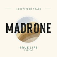 Madrone - True Life Habitat