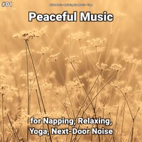 Peaceful Music Pt. 4 - Quiet Music & Relaxing Spa Music & Yoga