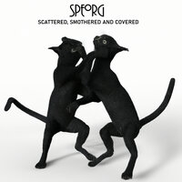 No Reply - SPEORG