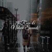 25 Rain & Nature Sounds