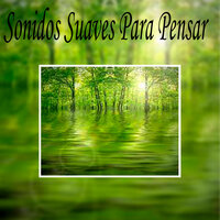 Antes Del Amanecer - Sonidos suaves
