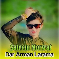 Ghanam Rang Laliay Zhra Waray De - Saleem Marwat