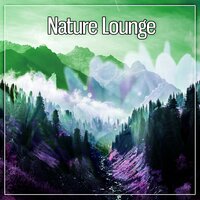 Soothing Ocean - Life Sounds Nature