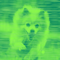 Peaceful Doggy Mental Health - Sleeping Music For Dogs