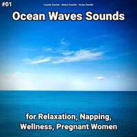 Ocean Waves Sounds Part 81 - Coastal Sounds & Nature Sounds & Ocean Sounds
