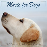 Happy Dog - RelaxMyDog & Dog Music Dreams & Pet Music Therapy