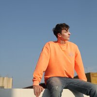 傻傻愛你的笨蛋 - 羅藝恆