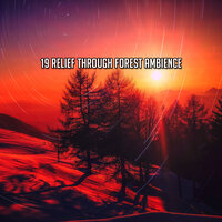 Руководство духов - Sounds Of Nature Relaxation
