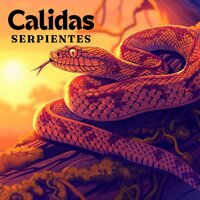 Nostalgia Sonora - Música Espiritual & Musica para climatizar el hogar & Música para relajarte para tener la casa feliz