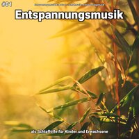 Entspannungsmusik pt. 13 - Entspannungsmusik Erik Lisen & Schlafmusik & Entspannungsmusik