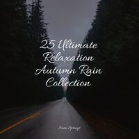 Rain, Urban, Lightning, Concrete - Forest Soundscapes & Sleep Waves & Academia de Meditação Buddha