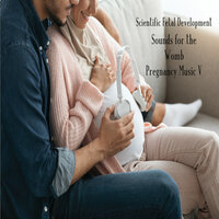 Scientific Fetal Development Sounds for the Womb Pregnancy Music V