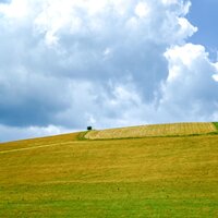 45 Deeply Peaceful Melodies to Soothe the Mind