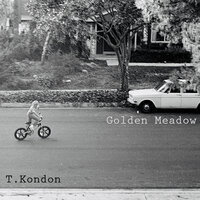 Golden Meadow - EP