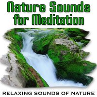 Restful, Soothing Waterfall to Restore Well Being - Relaxing Sounds of Nature
