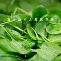 五音茶语 - 治愈纯音