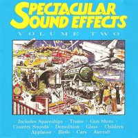 Birds: Blackbird - Spectacular Sound Effects