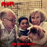 Mr Inbetween - Myng