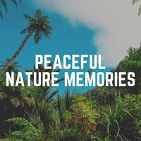Peaceful Nature Memories