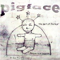 The Best Of Pigface