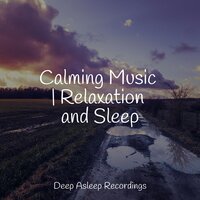 Ruddy Moon - Massagem Coleção de Músicas & Musica Relaxante & Yoga Soul