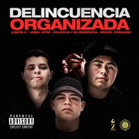 Delincuencia Organizada