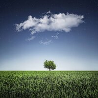 Fog in the Window - Mindfulness Meditation Music Spa Maestro, Nature Sounds for Sleep and Relaxation, Spa & Spa & Nature Sounds for Sleep and Relaxation & Mindfulness Meditation Music Spa Maestro
