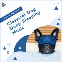 Peaceful Sounds with Ocean Waves - Dog Music Hour & Calming Music for Dogs & Calming Puppy Music