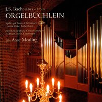 Erschienen ist der herrliche Tag, BWV 629 - Johann Sebastian Bach & Aase Morling