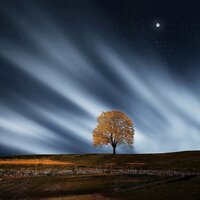 Sueño Diario Sonidos De Relajación - Sonidos De Relajación Atemporales Para Un Sueño Profundo