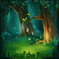 Eyes of the Forest - Brandon Fiechter