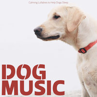 Sleeping Aid - RelaxMyDog & Dog Music Dreams