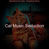 Pulsating Backdrops for Cats - Cat Music Seduction