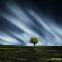Don't Forget - Meditation Spa