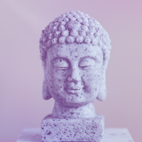 Meditative Mind - Zzzen