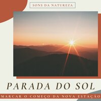 Cada Hemisfério - Novo Começo