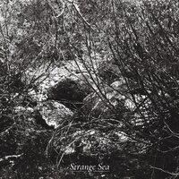 Collage - Strange Sea